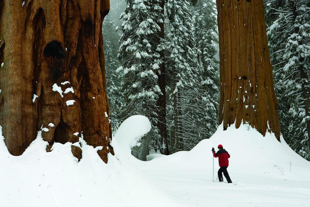 John Muir Lodge Hume Dış mekan fotoğraf