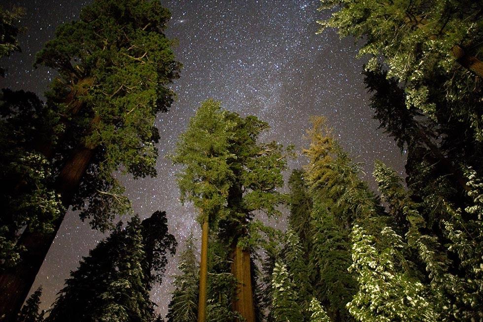 John Muir Lodge Hume Dış mekan fotoğraf