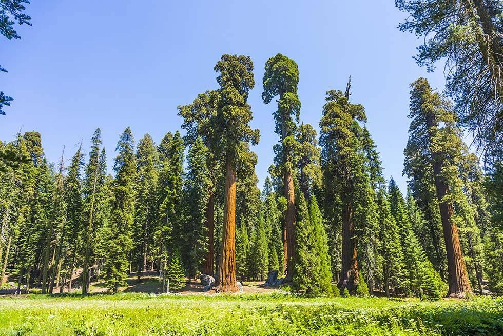 John Muir Lodge Hume Dış mekan fotoğraf