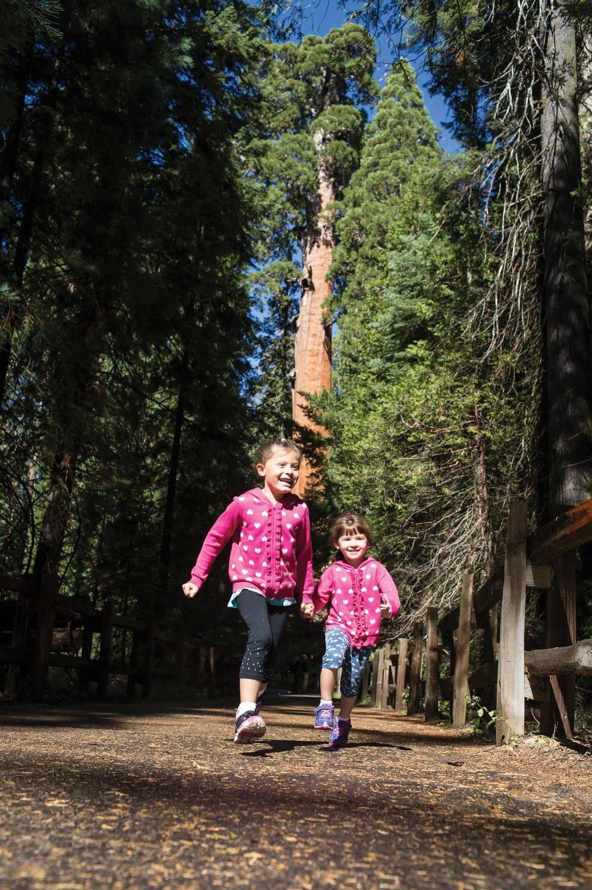 John Muir Lodge Hume Dış mekan fotoğraf